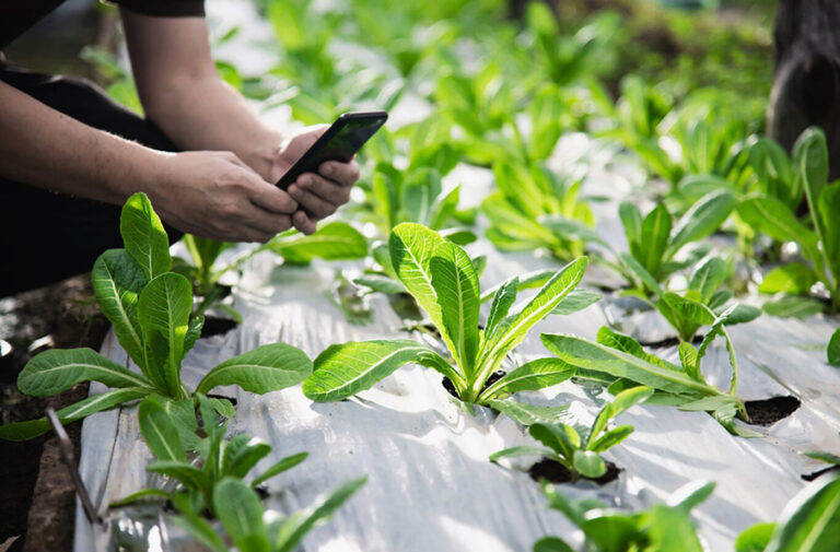 چگونه یک تقویم رسانه اجتماعی برای برنامه ریزی محتوای خود بسازید